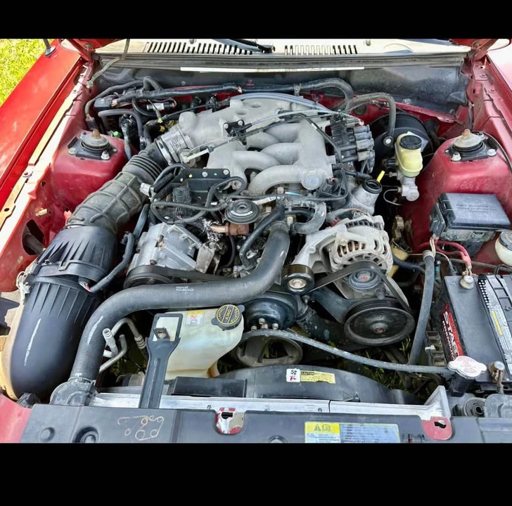 2003 Ford SN95 Mustang - Image 2 of 3