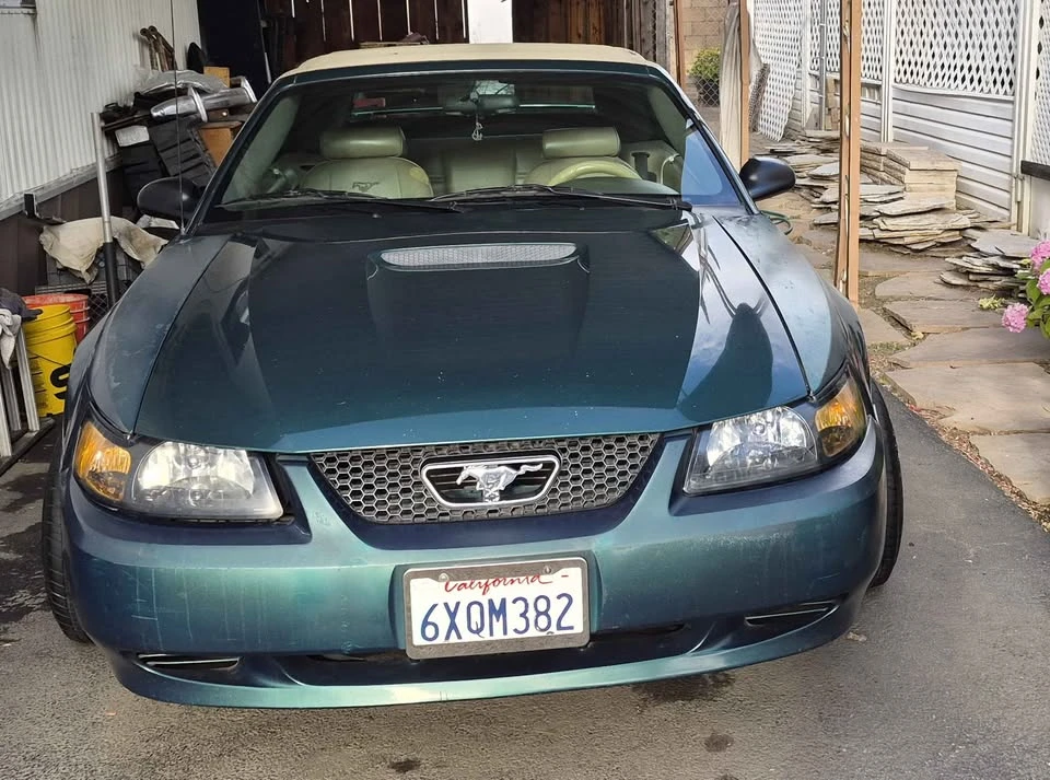 2003 Ford SN95 Mustang - Image 15 of 18