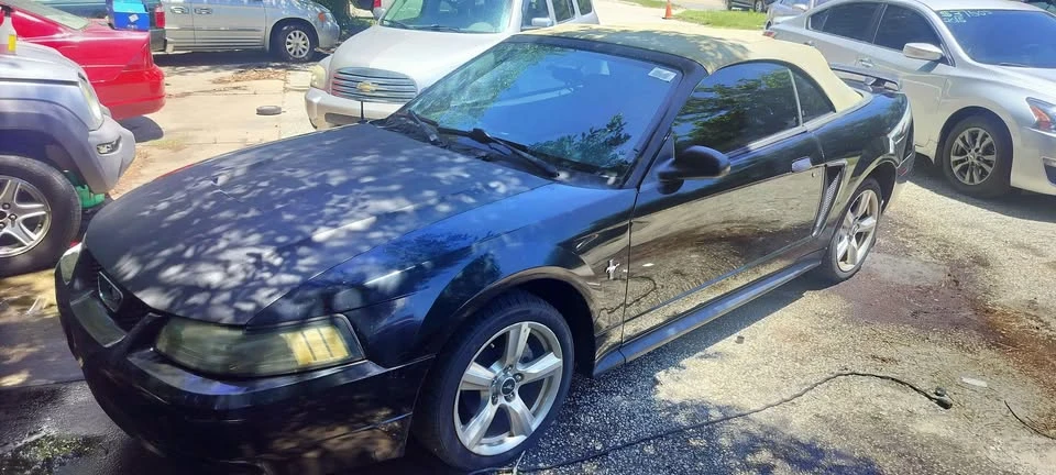 2003 Ford SN95 Mustang - Image 2 of 12