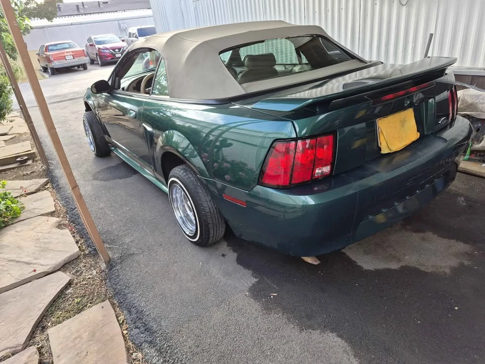 2003 Ford SN95 Mustang - Image 4 of 18