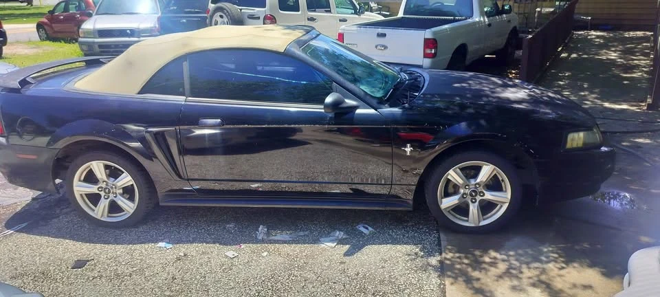 2003 Ford SN95 Mustang - Image 6 of 12