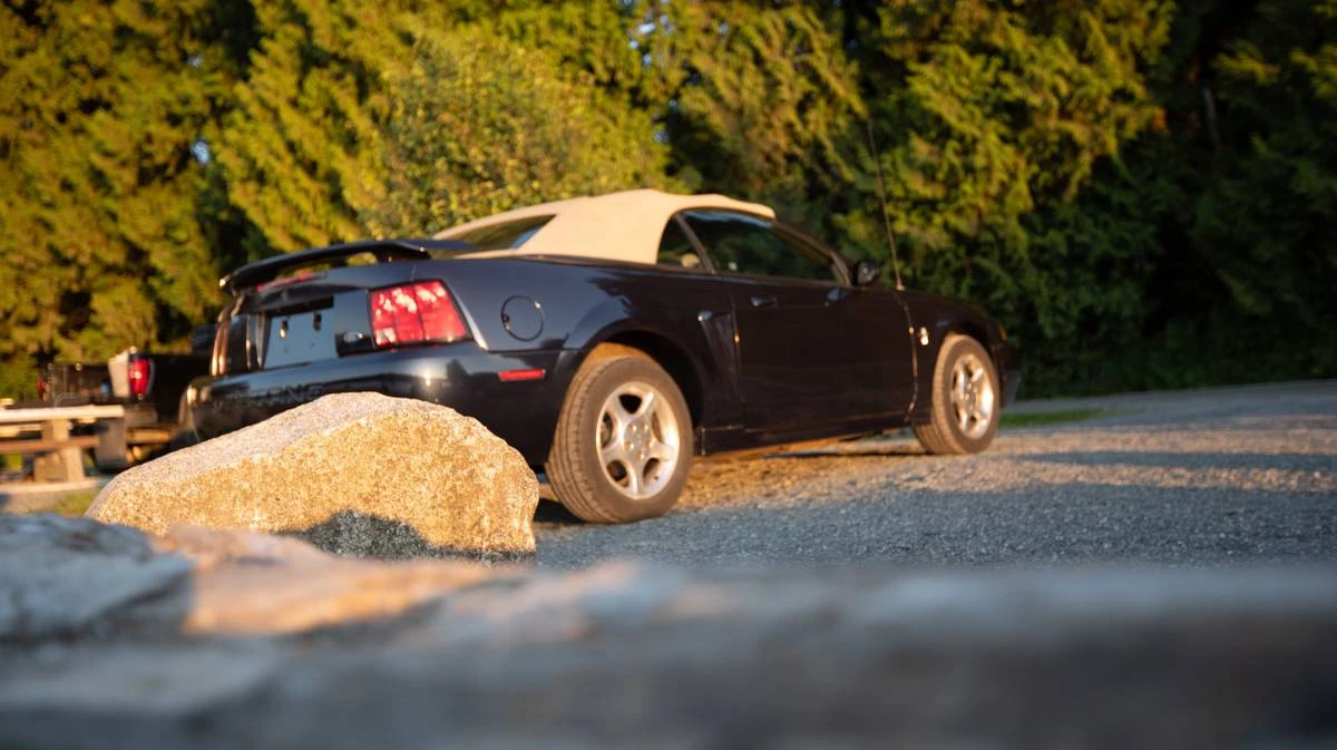 2003 Ford SN95 Mustang - Image 5 of 15