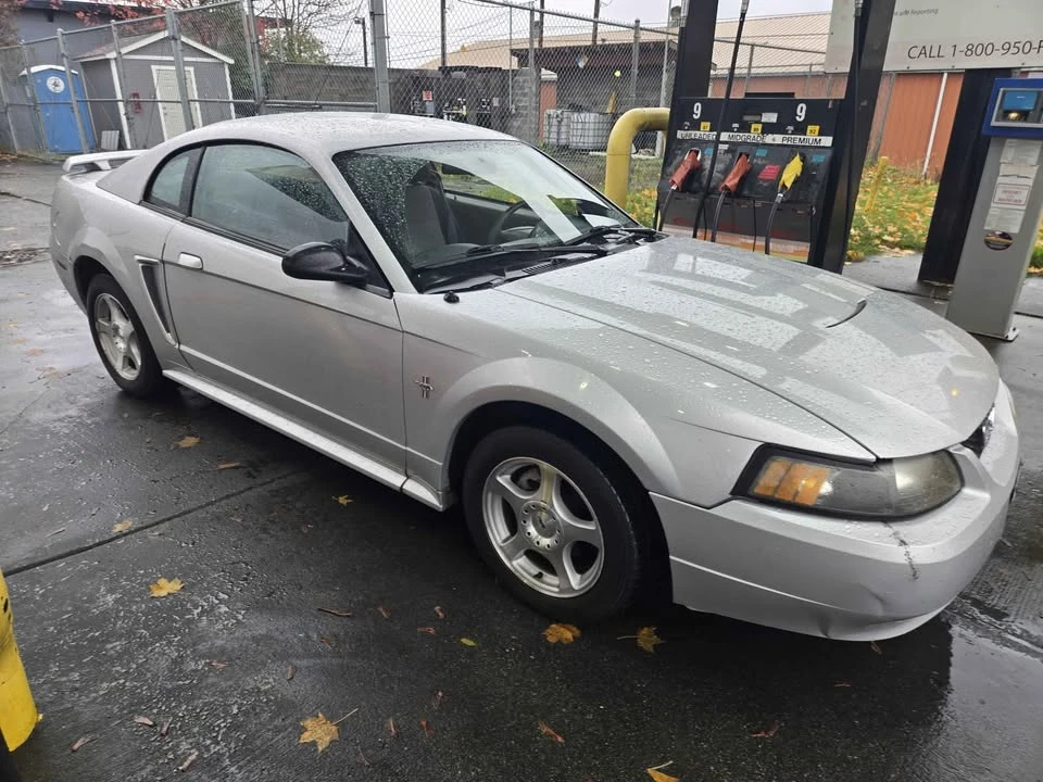 2003 Ford SN95 Mustang - Image 3 of 6
