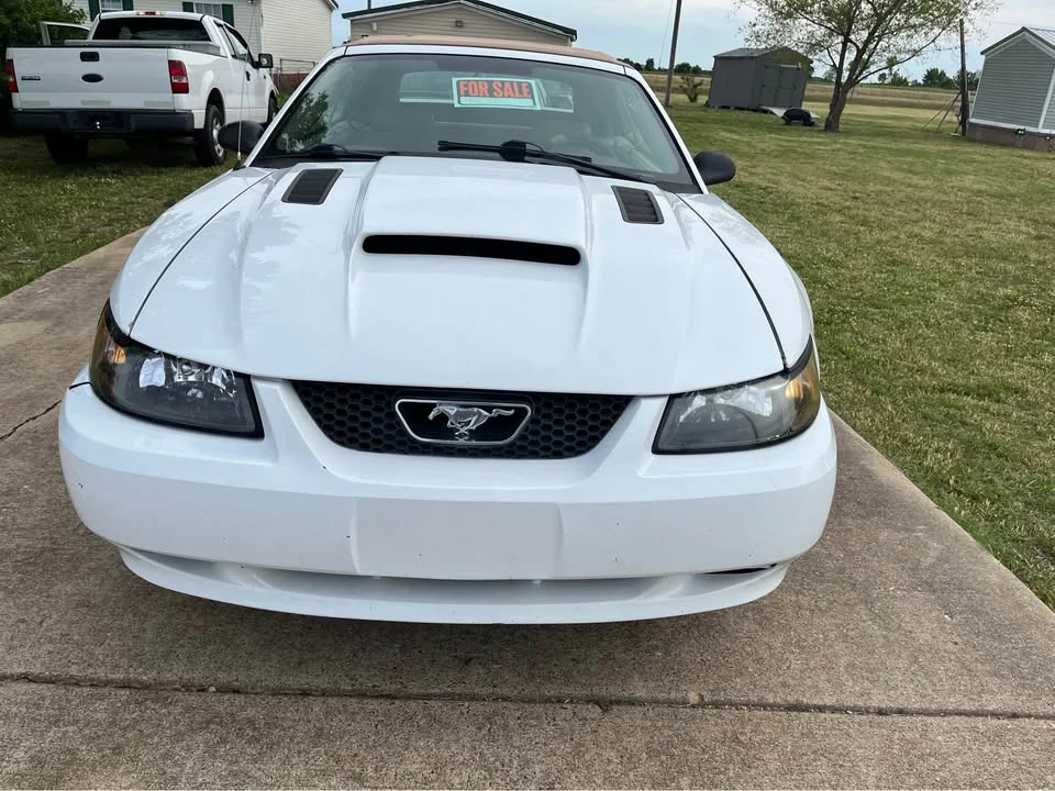 2003 Ford SN95 Mustang - Image 5 of 6