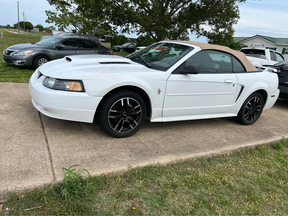 2003 Ford SN95 Mustang - Image 6 of 6