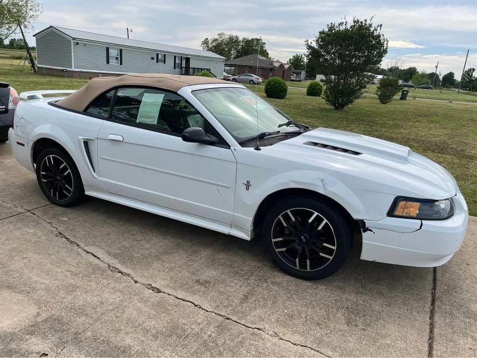 2003 Ford SN95 Mustang - Image 4 of 6