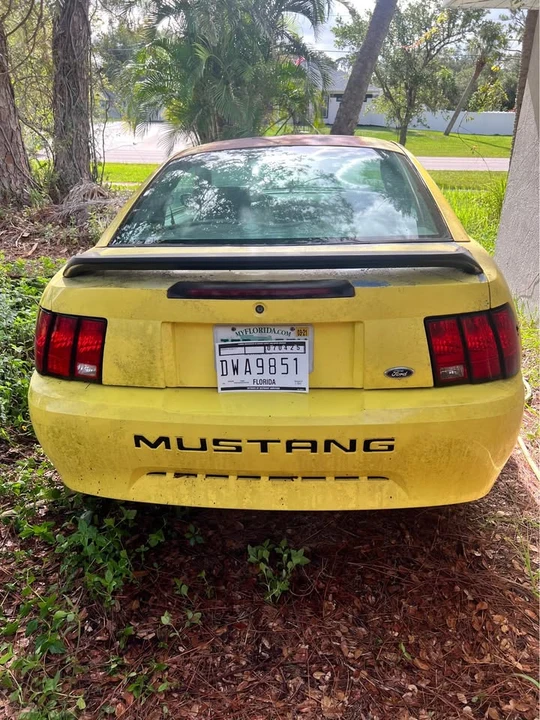 2003 Ford SN95 Mustang - Image 4 of 10