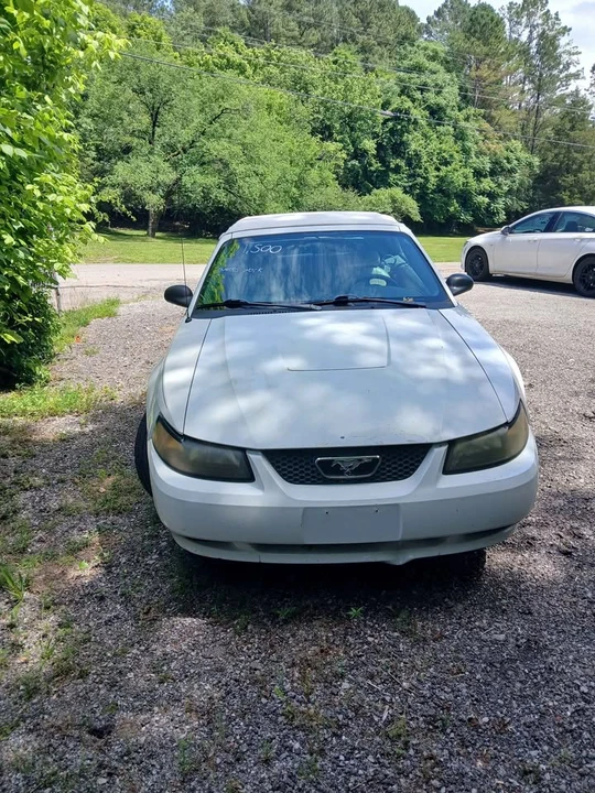 2003 Ford SN95 Mustang - Image 2 of 5