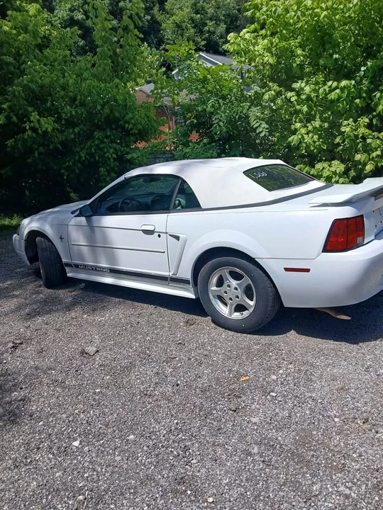 2003 Ford SN95 Mustang - Image 3 of 5