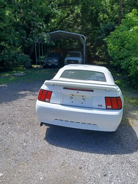 2003 Ford SN95 Mustang - Image 4 of 5