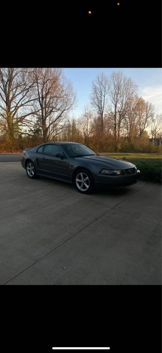 2003 Ford SN95 Mustang - Image 2 of 8