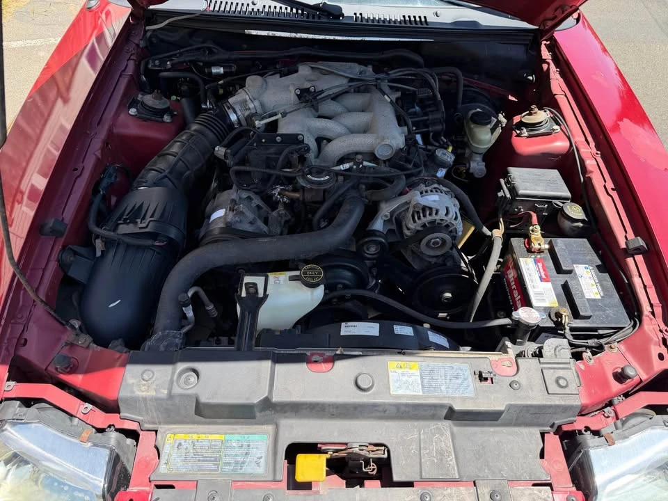 2003 Ford SN95 Mustang - Image 13 of 19