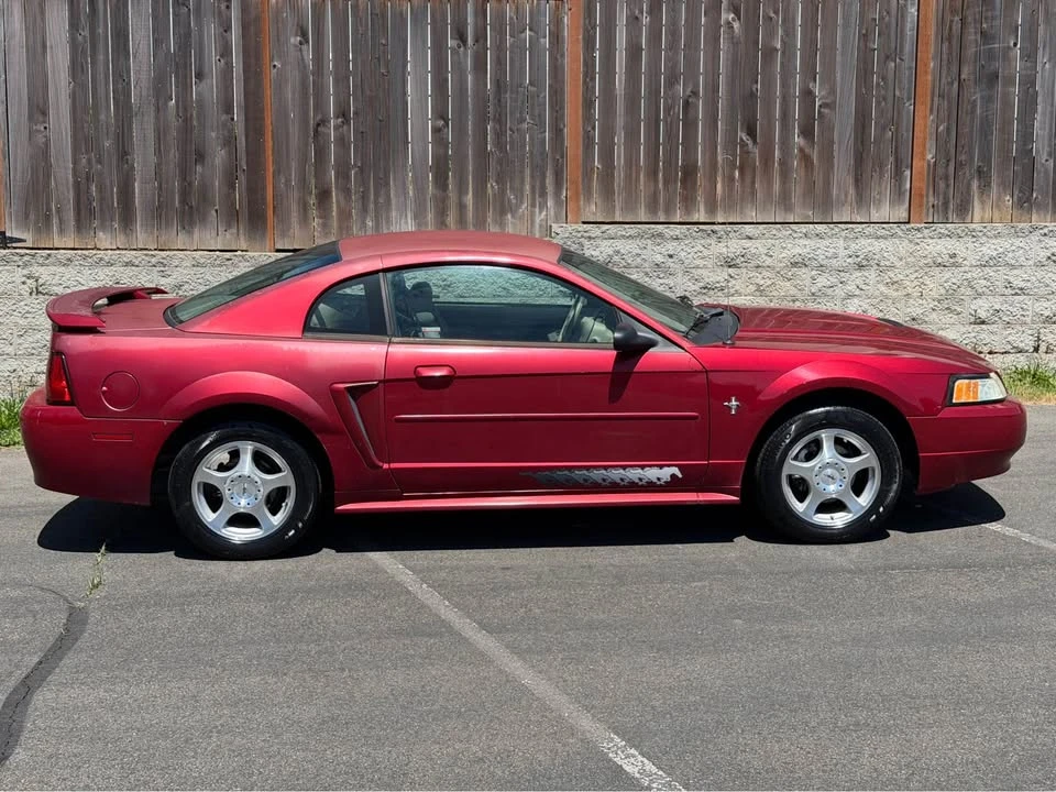 2003 Ford SN95 Mustang - Image 6 of 19
