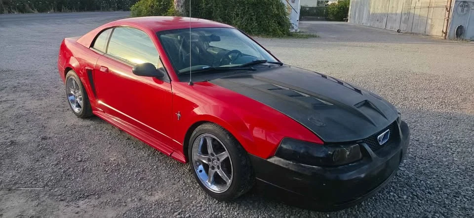 2003 Ford SN95 Mustang - Image 3 of 10