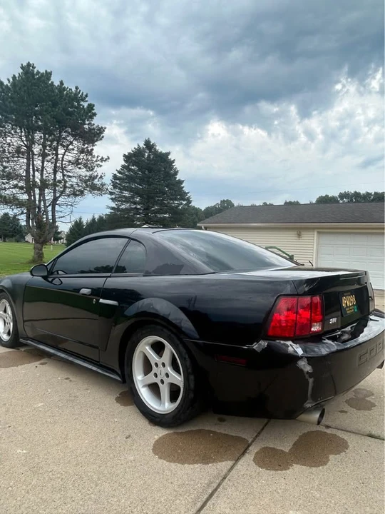 2003 Ford SN95 Mustang - Image 2 of 8