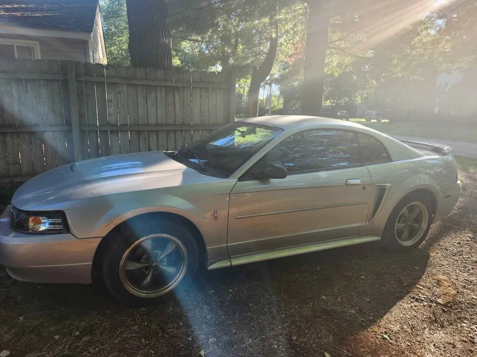 2003 Ford SN95 Mustang - Image 4 of 5