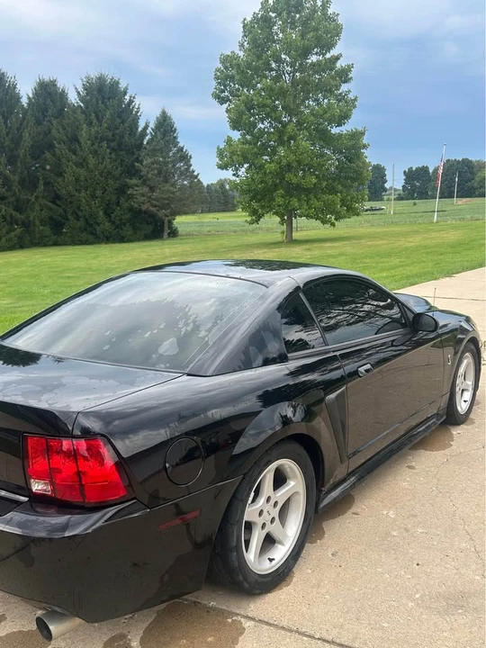 2003 Ford SN95 Mustang - Image 5 of 8