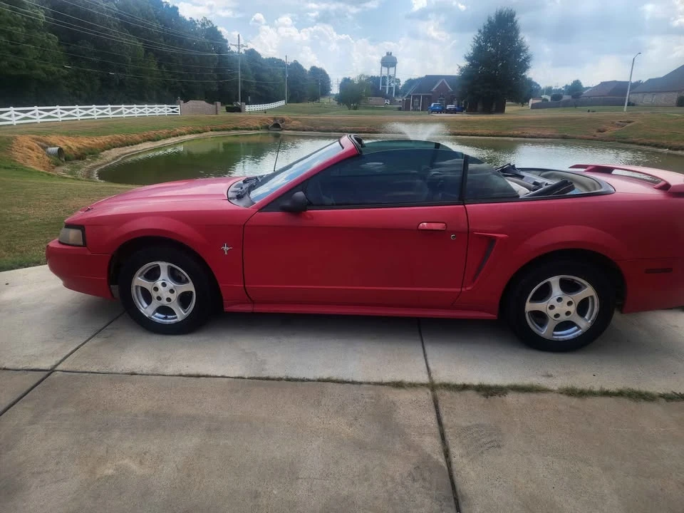 2003 Ford SN95 Mustang - Image 4 of 6