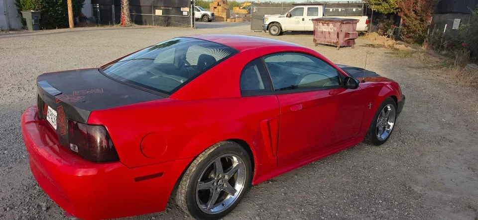 2003 Ford SN95 Mustang - Image 5 of 10