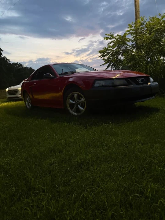 2003 Ford SN95 Mustang - Image 4 of 5