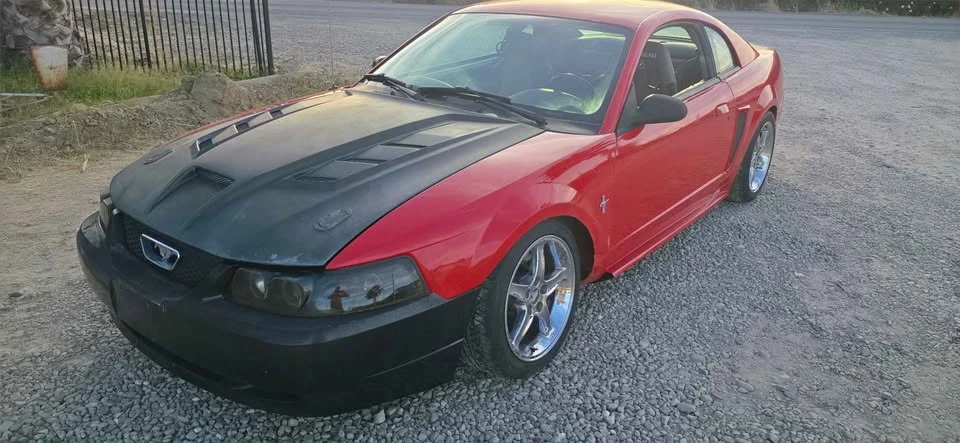 2003 Ford SN95 Mustang - Image 4 of 10