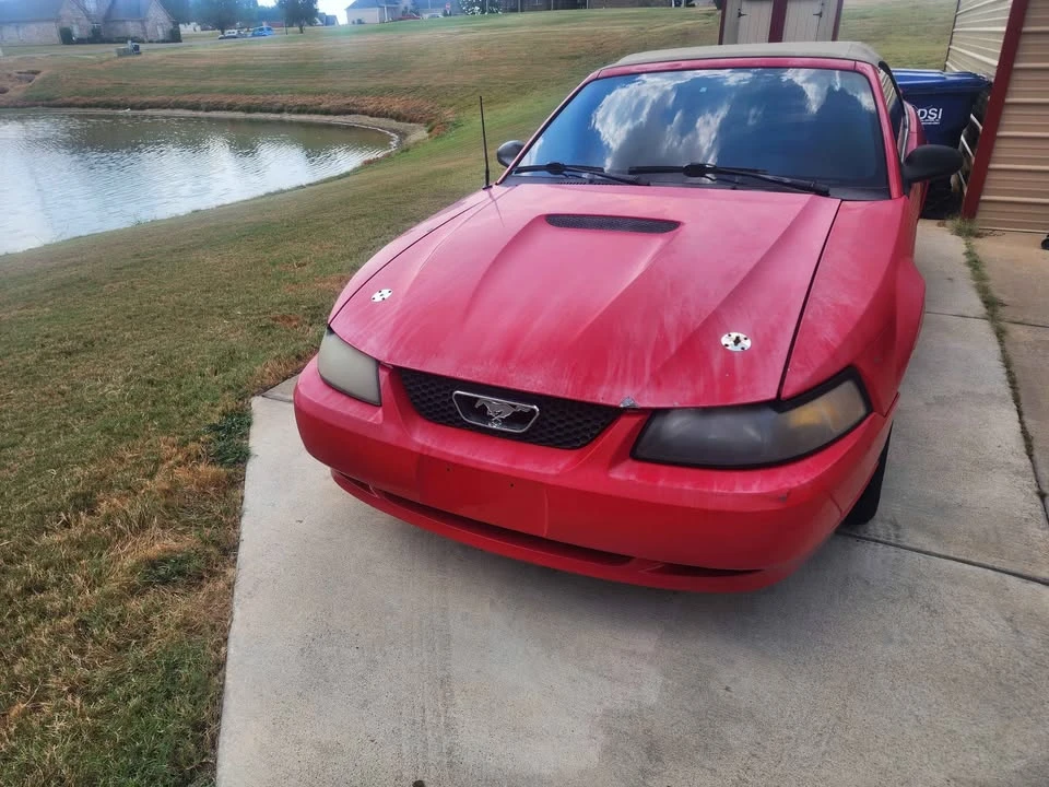 2003 Ford SN95 Mustang - Image 3 of 6
