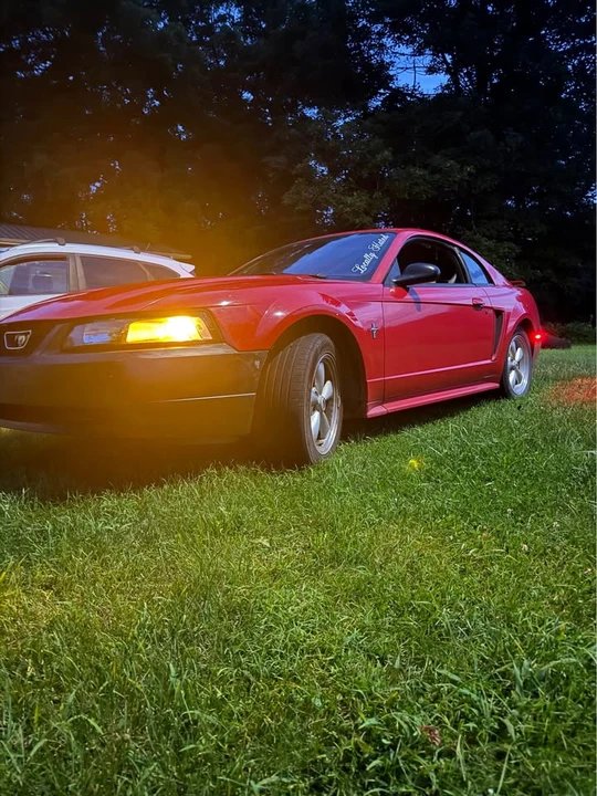 2003 Ford SN95 Mustang - Image 2 of 5