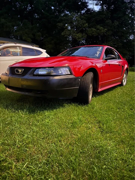 2003 Ford SN95 Mustang - Image 3 of 5