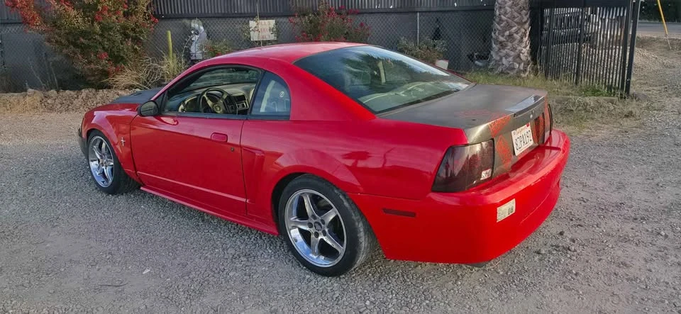 2003 Ford SN95 Mustang - Image 6 of 10