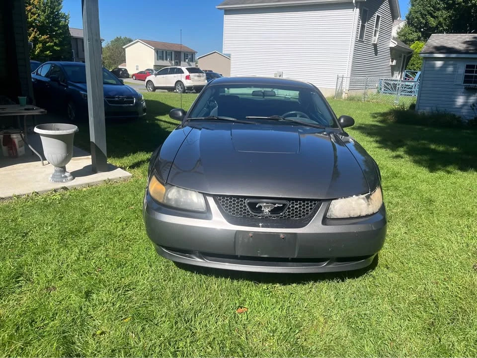 2003 Ford SN95 Mustang - Image 2 of 10
