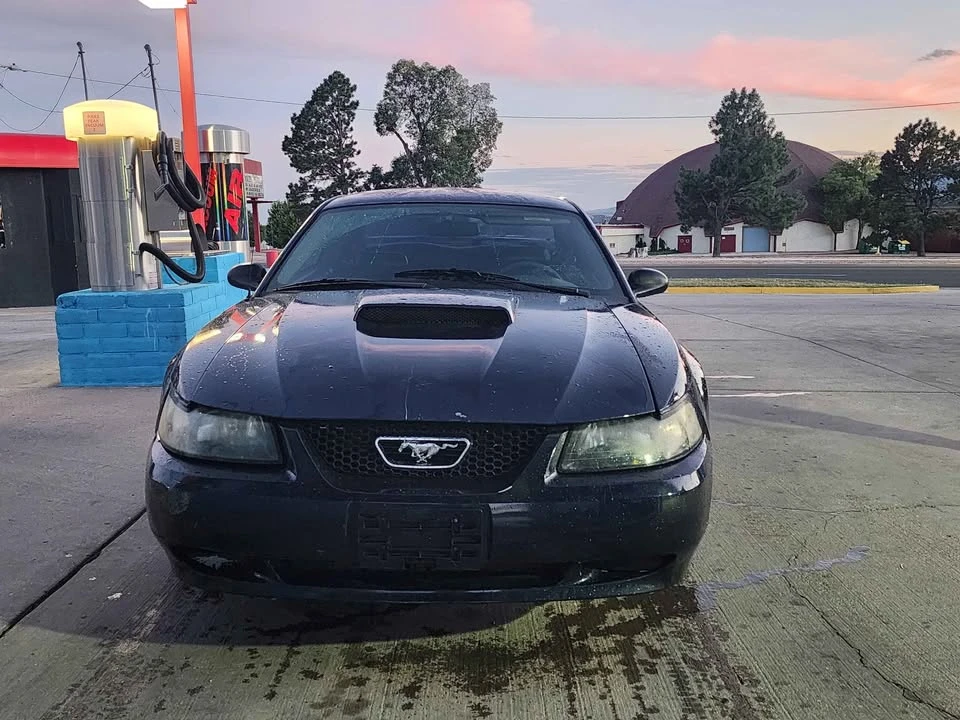 2003 Ford SN95 Mustang - Image 9 of 9