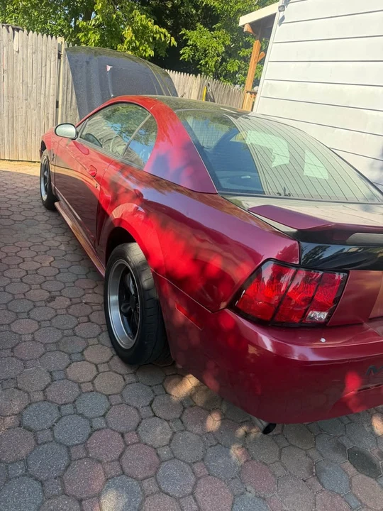 2003 Ford SN95 Mustang - Image 5 of 6