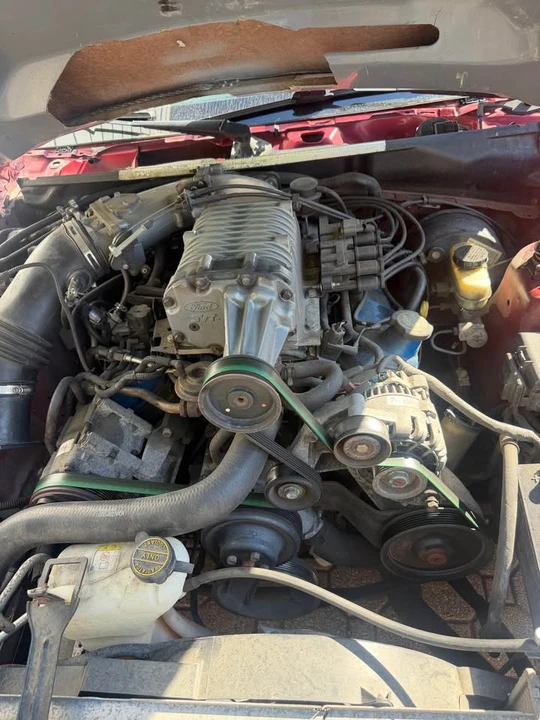 2003 Ford SN95 Mustang - Image 2 of 6