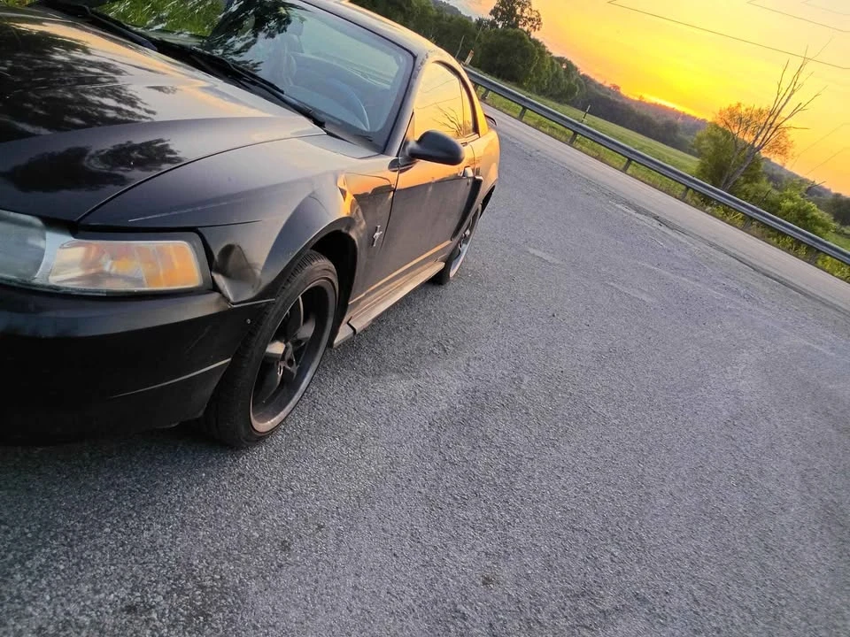 2003 Ford SN95 Mustang - Image 14 of 20