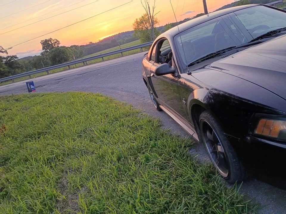 2003 Ford SN95 Mustang - Image 15 of 20