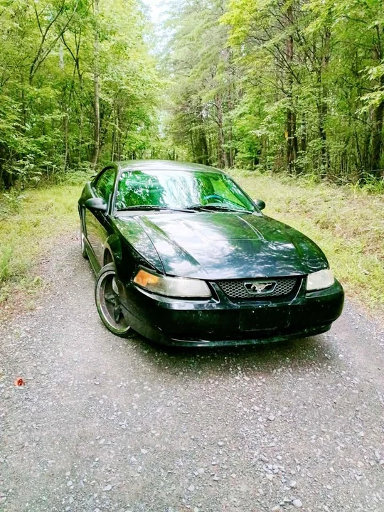 2003 Ford SN95 Mustang - Image 3 of 20