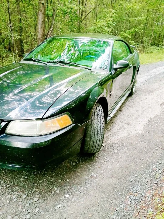 2003 Ford SN95 Mustang - Image 4 of 20