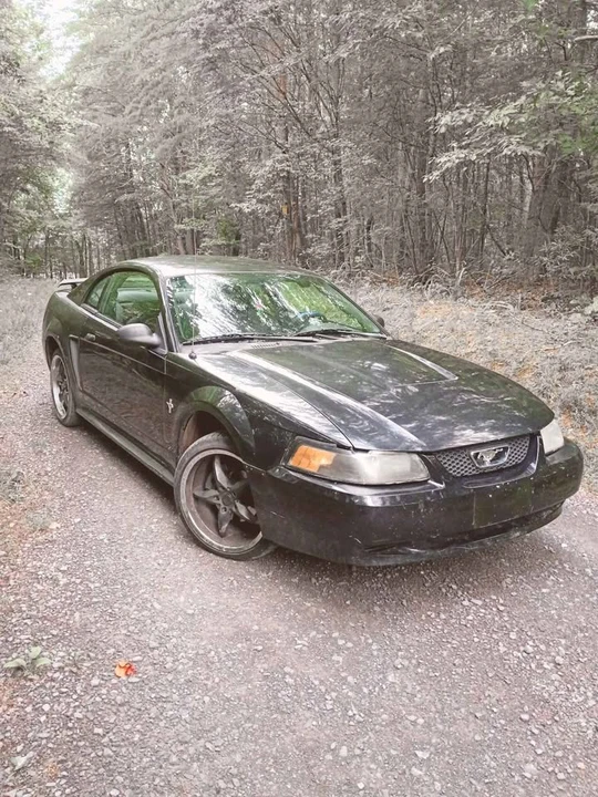 2003 Ford SN95 Mustang - Image 2 of 20