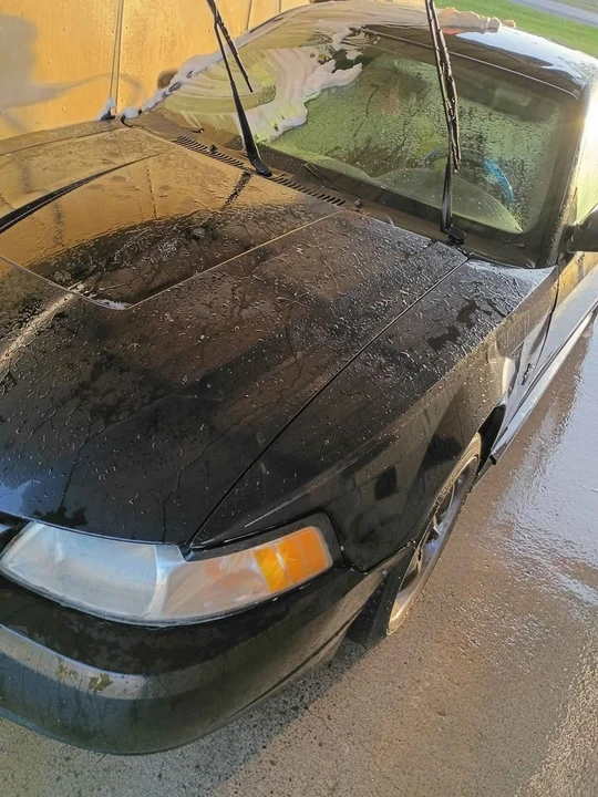 2003 Ford SN95 Mustang - Image 13 of 20