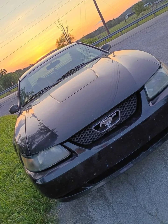 2003 Ford SN95 Mustang - Image 17 of 20