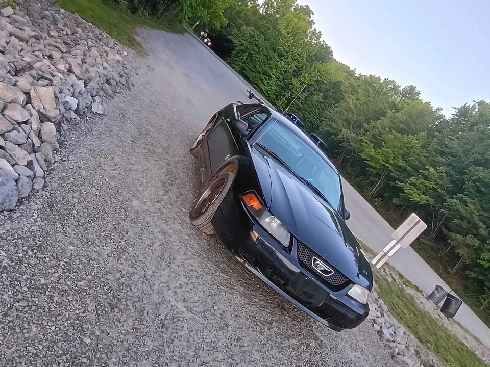 2003 Ford SN95 Mustang - Image 18 of 20
