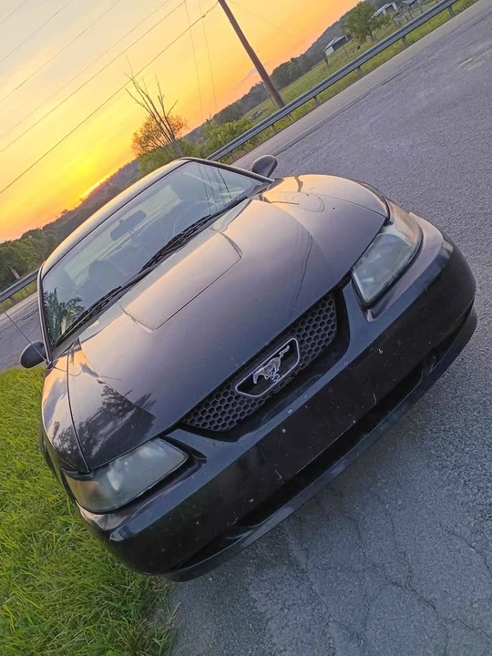 2003 Ford SN95 Mustang - Image 16 of 20