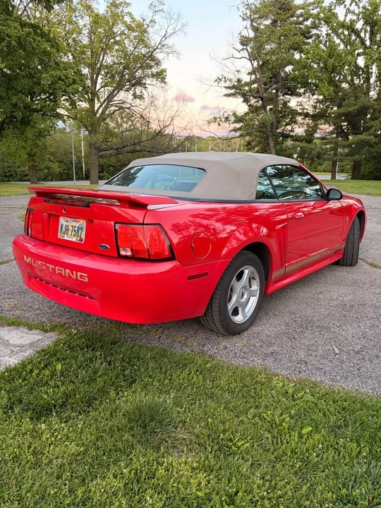2003 Ford SN95 Mustang - Image 7 of 20