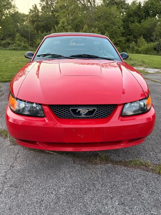 2003 Ford SN95 Mustang - Image 5 of 20