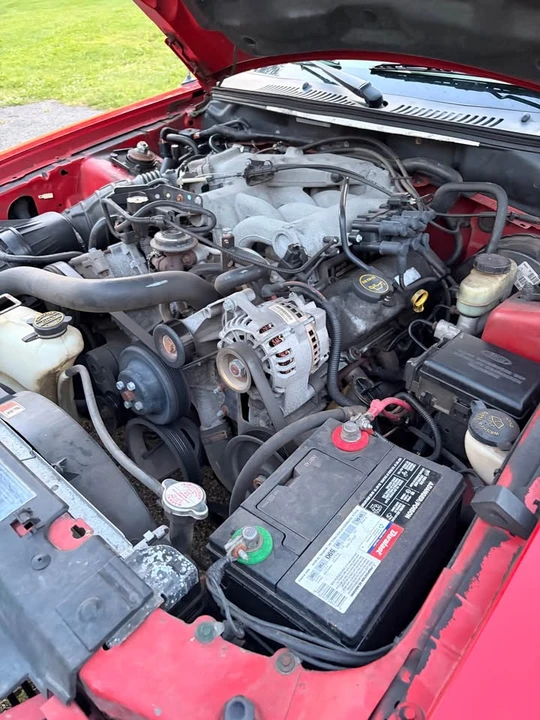 2003 Ford SN95 Mustang - Image 20 of 20