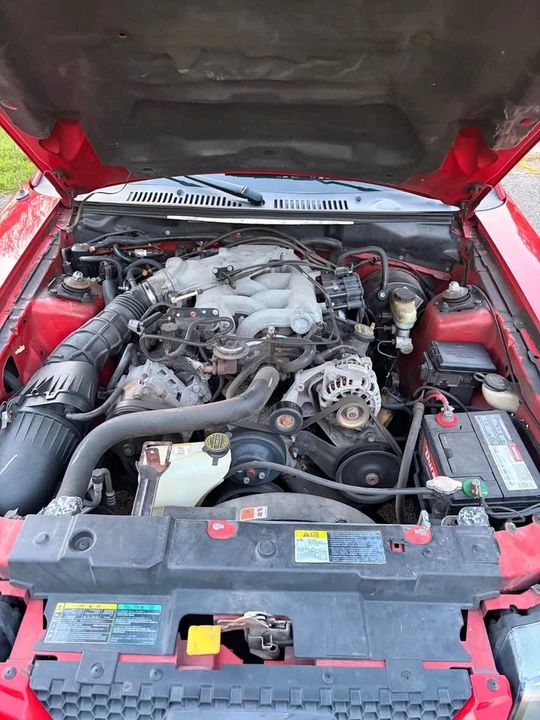 2003 Ford SN95 Mustang - Image 19 of 20