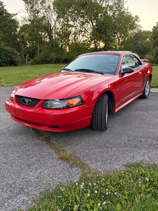 2003 Ford SN95 Mustang - Image 2 of 20