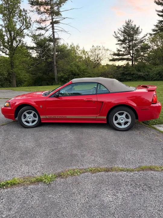 2003 Ford SN95 Mustang - Image 4 of 20
