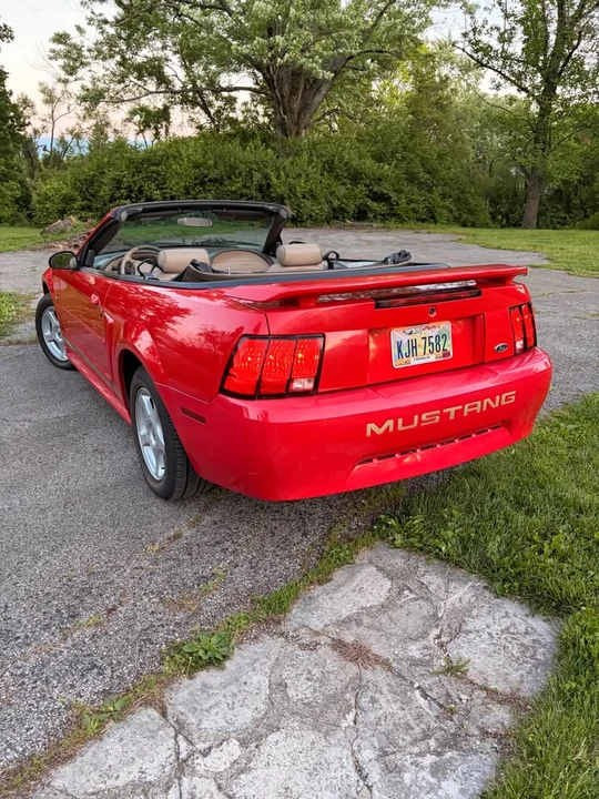 2003 Ford SN95 Mustang - Image 12 of 20