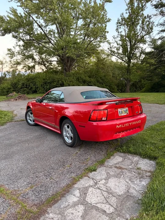 2003 Ford SN95 Mustang - Image 6 of 20
